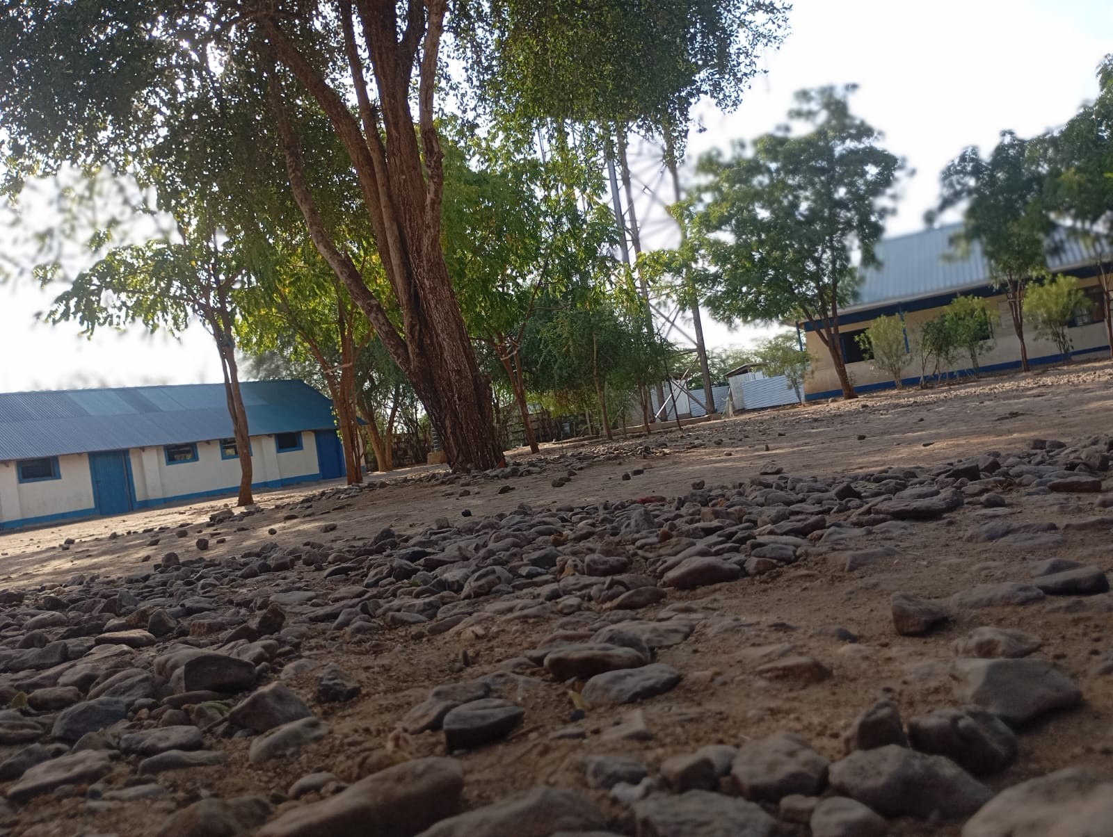 The school compound and pathways