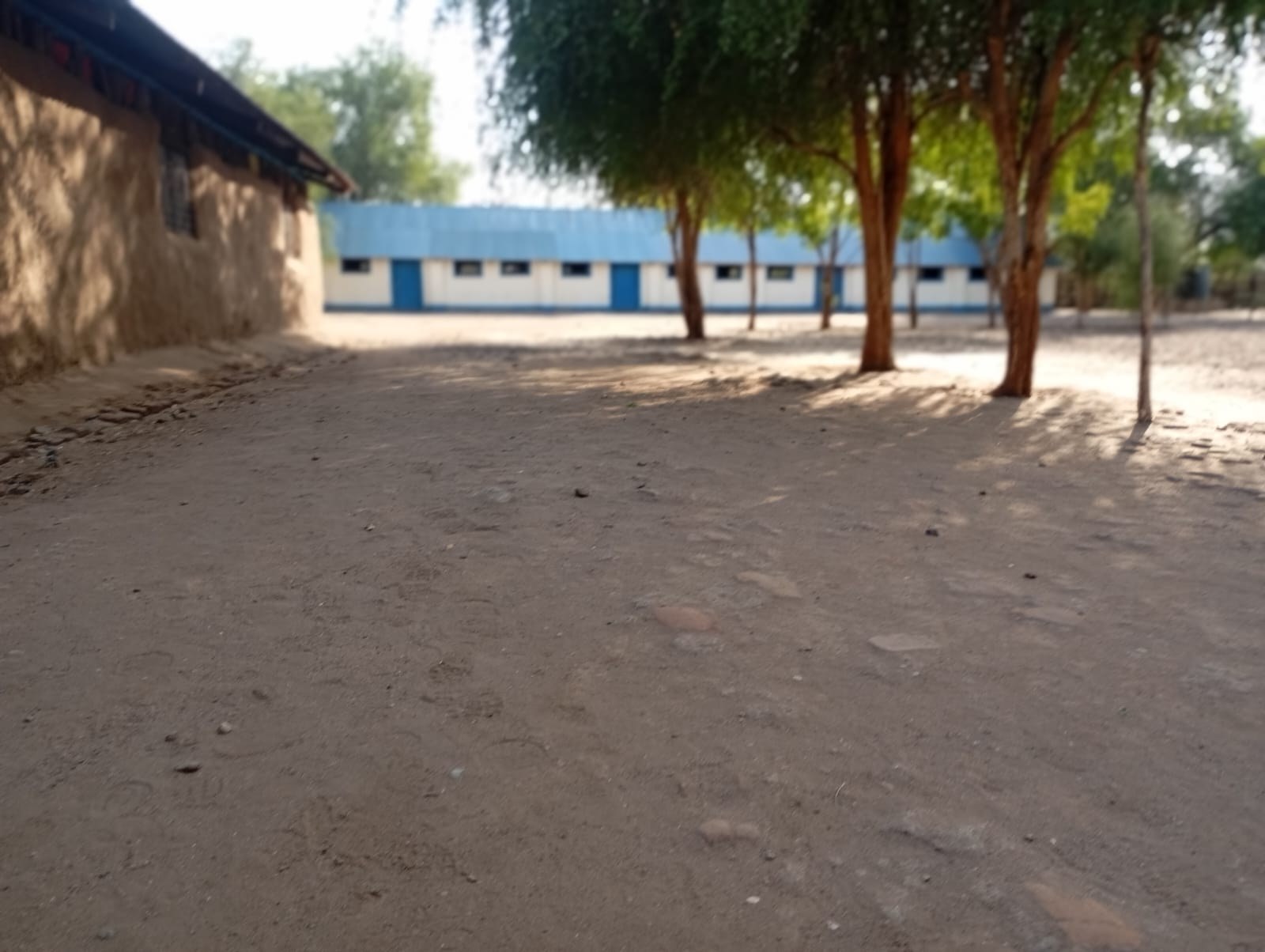 The school compound and pathways